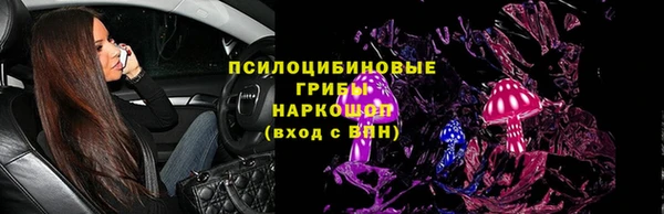 кокс Арсеньев