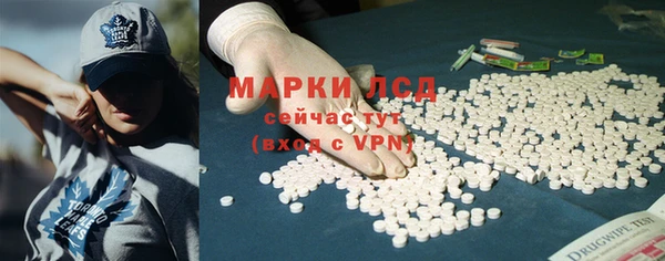 крисы Аркадак